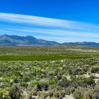 Phalan Phalen Creek Ranch Currie Nevada images 4