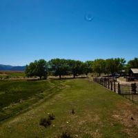 Phalan Phalen Creek Ranch Currie Nevada images 5