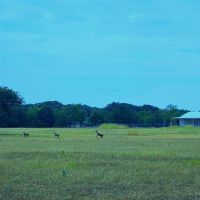 Tract 1 FM 3396 images 5