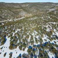 Picketwire 80 - images 3