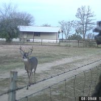 1690 CR 530 Evant Texas Riverfront Hunting Ranch