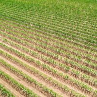 120 Acres with a Camp in Hamilton County Tennessee images 1
