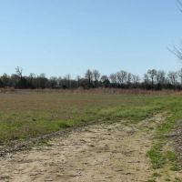 120 Acres with a Camp in Hamilton County Tennessee images 2