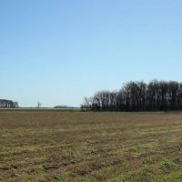 120 Acres with a Camp in Hamilton County Tennessee images 3