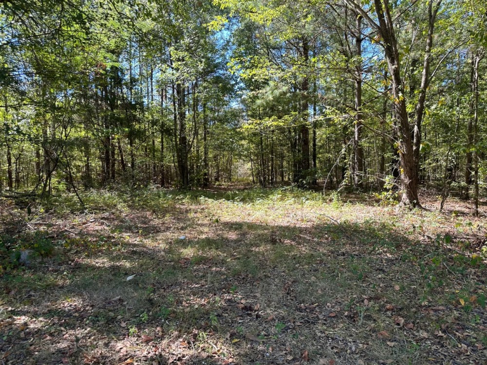 LA - Richland 35 acres - featured image