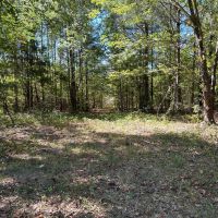 LA - Richland 35 acres -