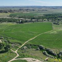 16 Acre Small Hunting Tract for Sale Pike County
