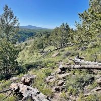 Independence Mountain Ranch images 5