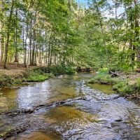 Amazing creek property