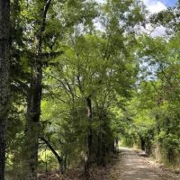 Amazing recreational property images 3