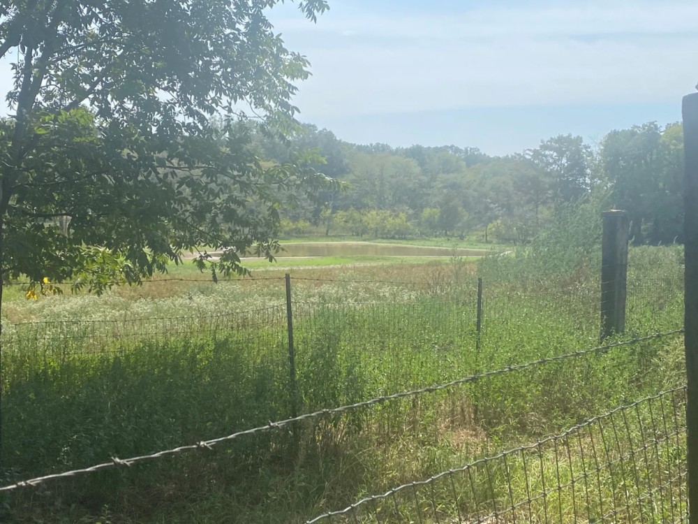 LA - Morehouse 96 acres - featured image