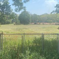LA - Morehouse 96 acres - images 2