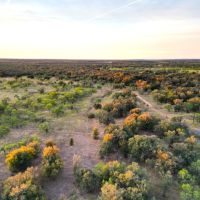New Listing 777 Acre Brown County images 2