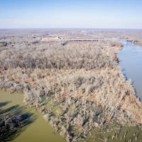 Price Reduction 38.45 Ac CR 327 Gorman images 2