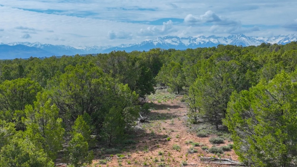 44 Acres In Ouray County featured image
