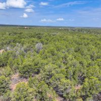 44 Acres In Ouray County images 4