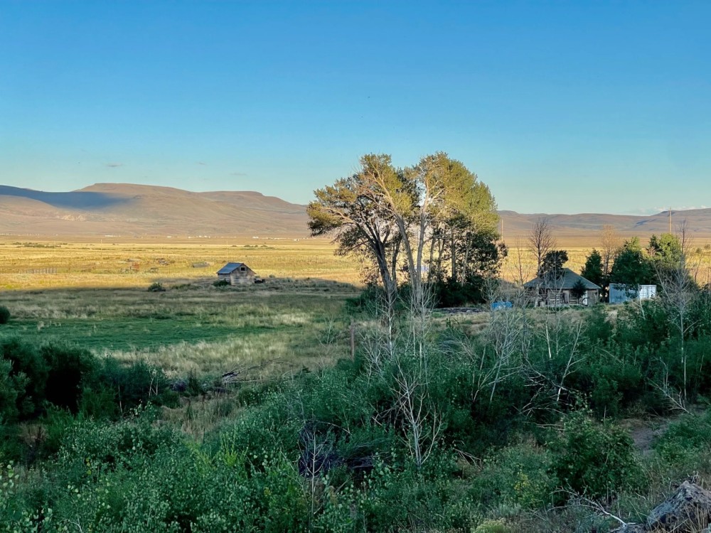 Wildhorse Ranch Northfork Nevada featured image