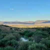 Wildhorse Ranch Northfork Nevada images 2