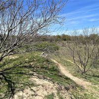 Price Reduction 63.35 Ac CR 327 Gorman