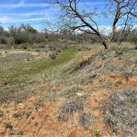 Price Reduction 63.35 Ac CR 327 Gorman images 3