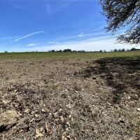 Price Reduction 63.35 Ac CR 327 Gorman images 4