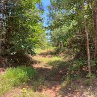 LA - Union 200 acres -