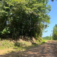 LA - Union 200 acres - images 2