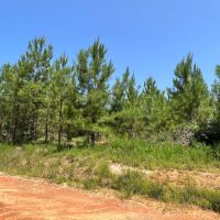 LA - Union 200 acres - images 3