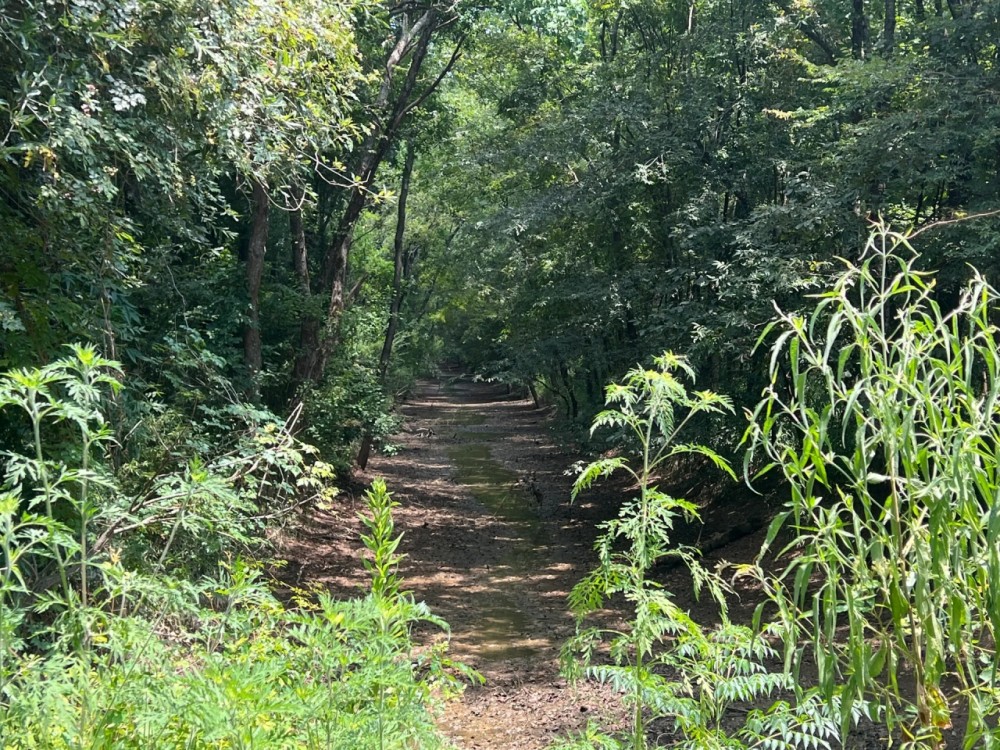 LA - Franklin 60 acres - featured image
