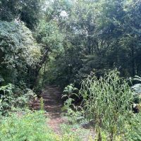 LA - Franklin 60 acres - images 2