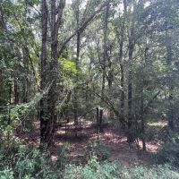 LA - Franklin 60 acres - images 3
