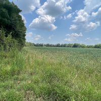 LA - Franklin 60 acres - images 4
