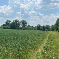 LA - Franklin 60 acres - images 5