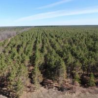 Sybille Ranch images 3