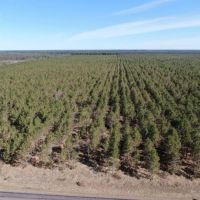 Sybille Ranch images 4