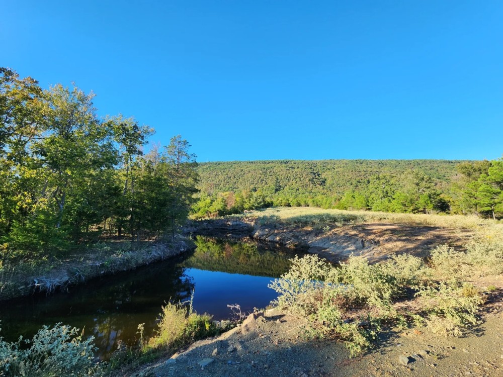 60 Buffalo Mtn featured image