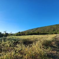 60 Buffalo Mtn images 2