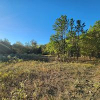 60 Buffalo Mtn images 3