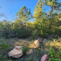60 Buffalo Mtn images 4