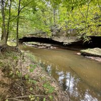 LA - Caldwell 240 acres - images 5