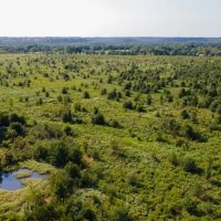 130 Acres Bordering Sequoyah National Wildlife Refuge images 3
