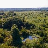 130 Acres Bordering Sequoyah National Wildlife Refuge images 4