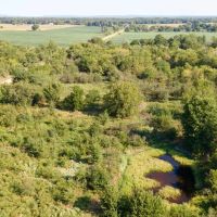 130 Acres Bordering Sequoyah National Wildlife Refuge images 5