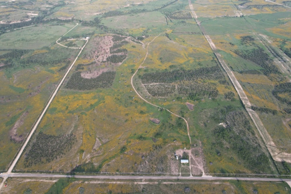 PRICE REDUCTION 320 Ac Hm 3402 CR 196 Blackwell Hunting Land for Sale