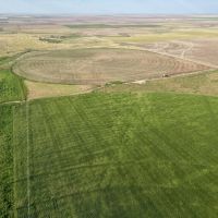Baca Prowers County 7 Irrigated Quarters images 4