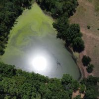 91 - acres of prime recreational land images 4