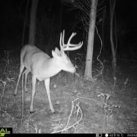 38 Acre Illinois Hunting Recreational Property for Sale - Jefferson County