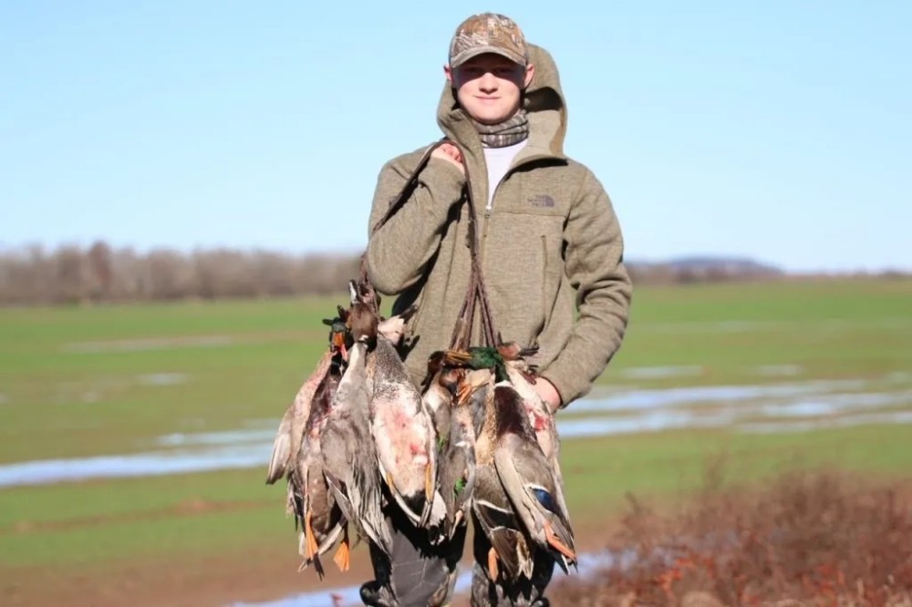 237.81 Acres in Holmes County MS featured image