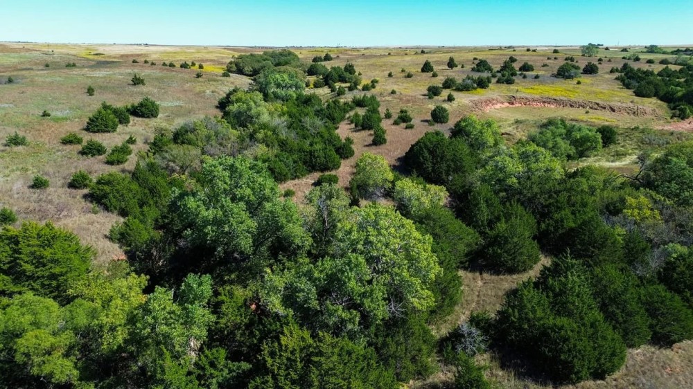Custer County 80 featured image
