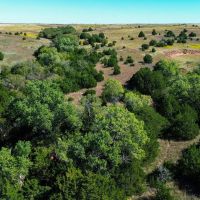 Custer County 80